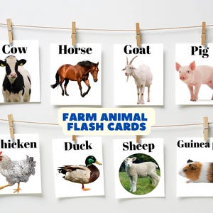 Op de afbeelding: Een set van acht kleurrijke flashcards met boerderijdieren. De kaarten hangen aan een waslijn met wasknijpers. De afgebeelde dieren zijn een koe, een paard, een geit, een varken, een kip, een eend, een schaap en een cavia.