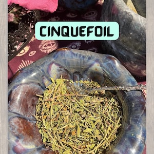 May include: A close-up of a bowl filled with dried, green, and brown herbs. The bowl is made of a dark blue and brown ceramic with a glossy finish. The text "CINQUEFOIL" is written in white letters on a teal blue background.