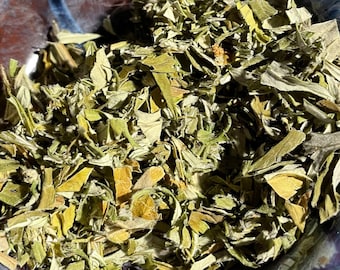 Dried Mugwort  - Apothecary Grown herb, air dried, Artemisia Vulgaris - small portion-2 Grams