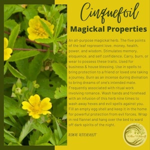 May include: A yellow flower with five petals, known as Cinquefoil, with text overlay describing its magickal properties. The text mentions its use in spells, incense, and protection from evil forces.
