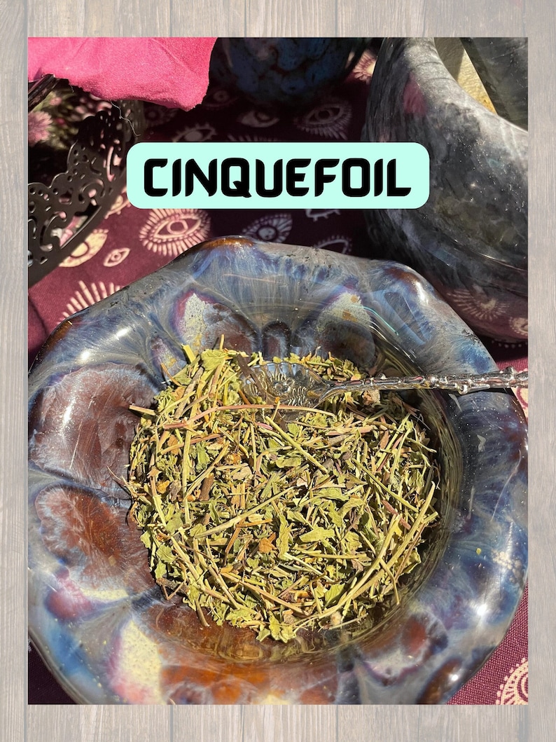 May include: A close-up of a bowl filled with dried, green, and brown herbs. The bowl is made of a dark blue and brown ceramic with a glossy finish. The text "CINQUEFOIL" is written in white letters on a teal blue background.