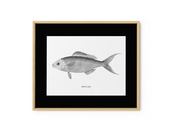Pesce / Illustrazione Apsilus vintage / Opera d'arte pesce / Download digitale / Arredamento per la casa / Download istantaneo / Arte della parete stampabile / Stampa d'arte retrò