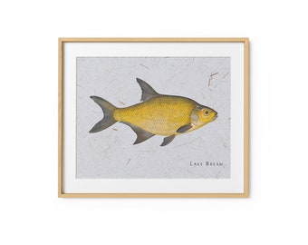 Fish | Vintage Lake Bream Illustration | Fish Art | Digital Download | Home Decor | Instant Download | Printable Wall Art | Retro Art Print