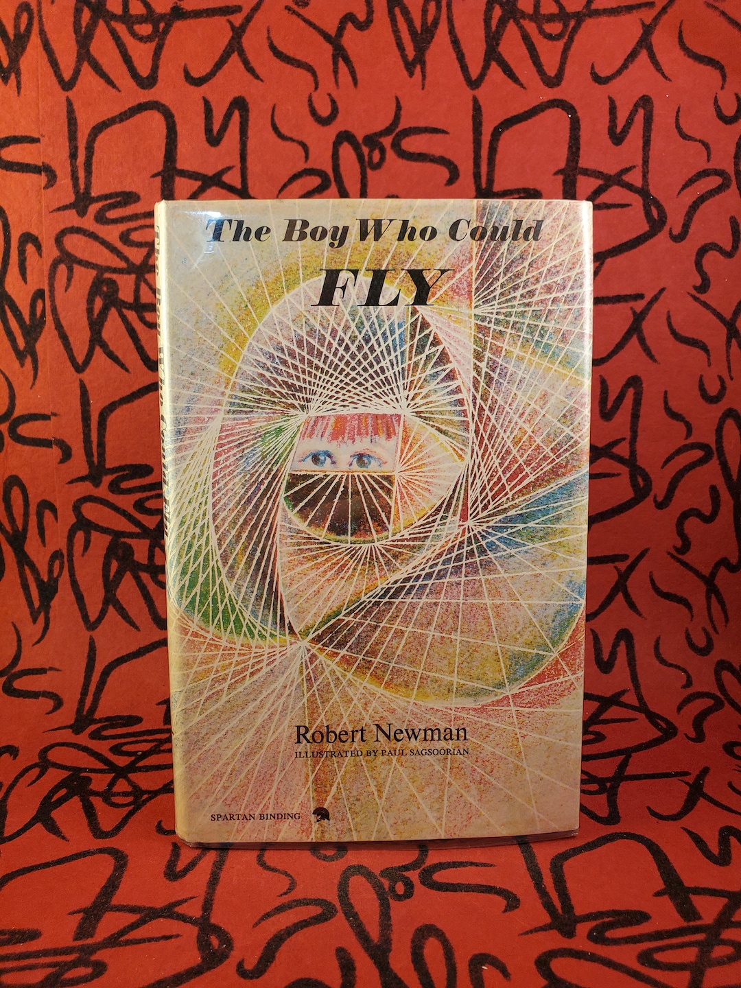 The Boy Who Could Fly by Robert Newman Illustrated by Paul Sagsoorian