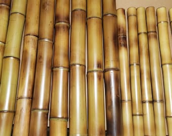 Flamed Bamboo