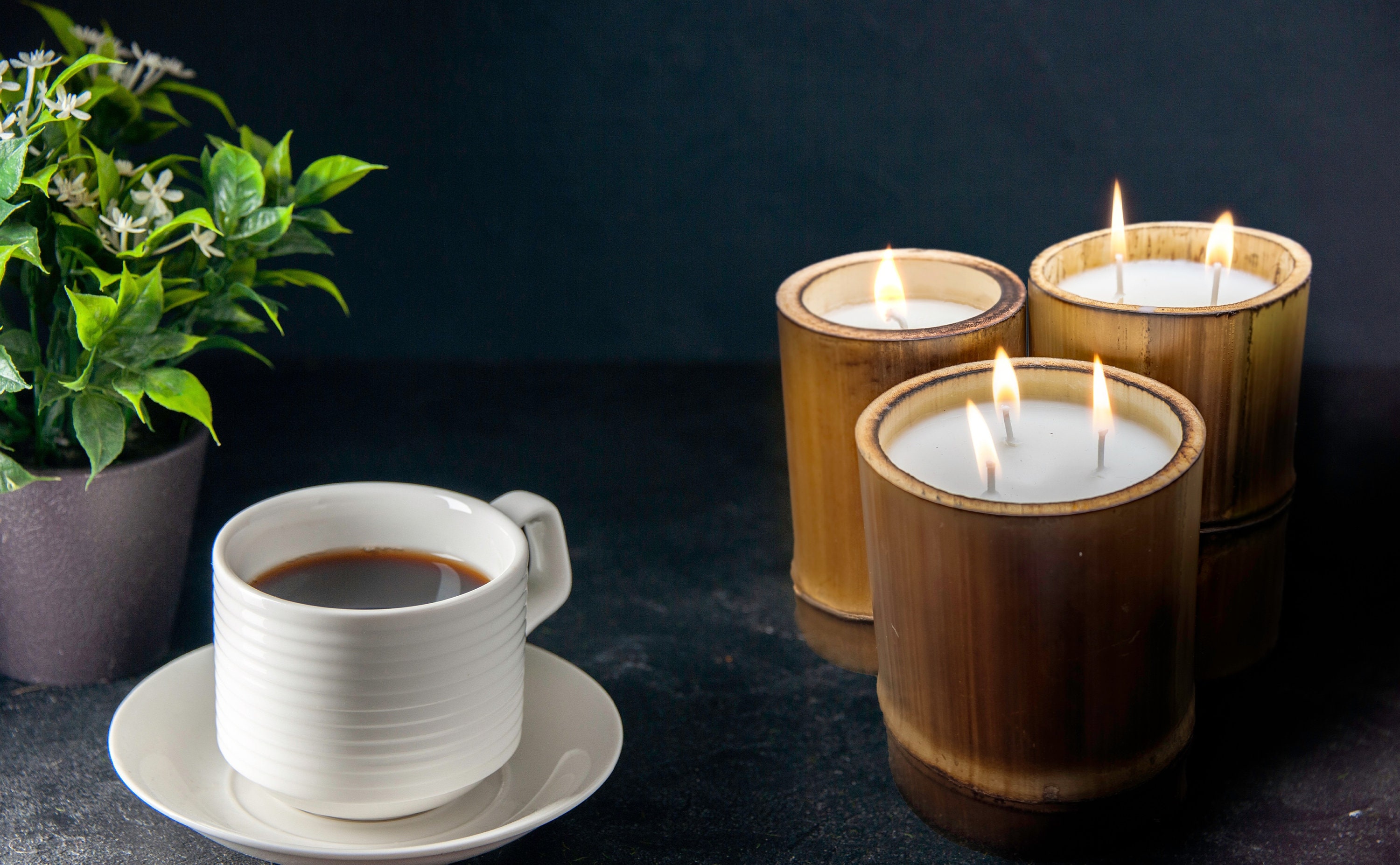 Palm Leaf & Bamboo Cocolux Candle - Large 350g