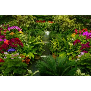 Puede incluir: Un exuberante jardín tropical verde con una pequeña cascada que desemboca en un estanque. El jardín está lleno de diversas plantas y flores, incluyendo helechos, palmeras y geranios coloridos.
