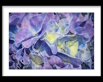 Periwinkle Hydrangea Macro Floral Art Print: Happy Wall Art, Painterly Magical Light, Country Floral Home Decor, Botanical