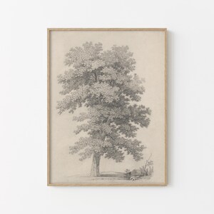 Vintage Tree Sketch | Home Decor | Premium Digital Download | 44