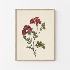 Vintage Red Flower Painting | Home Decor | Premium Digital Download | 40