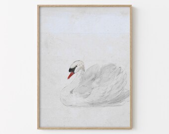 May include: A framed watercolor painting of a white swan with a red beak, set against a light gray background.