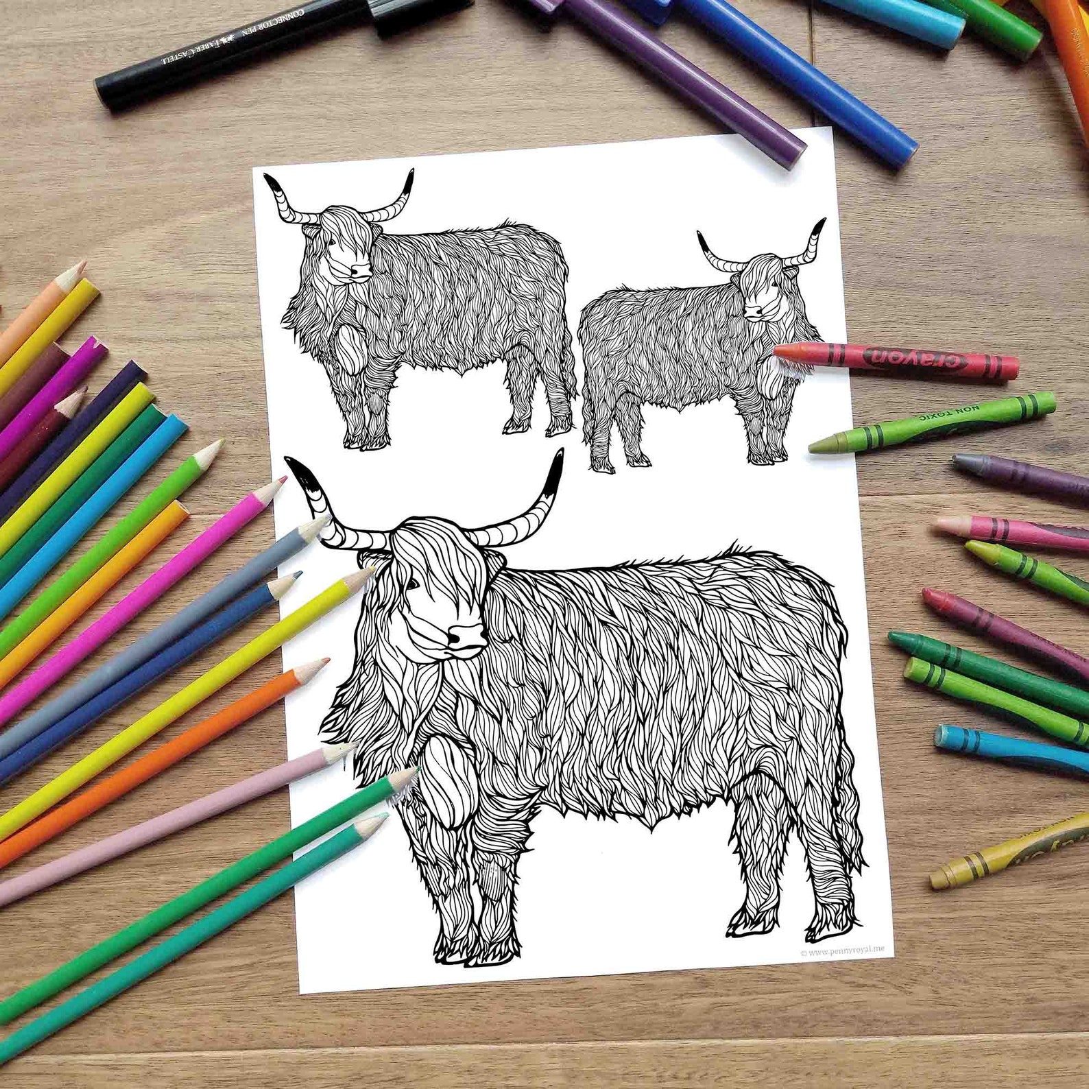 Highland Cow Trio Coloring Page Digital Download, Scotland, Woolly