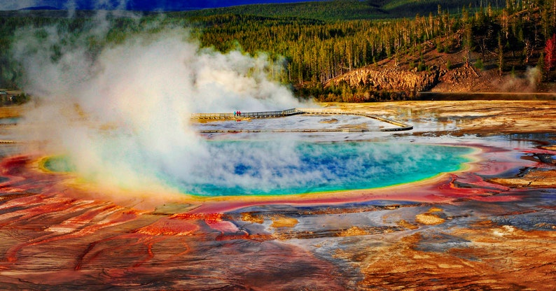 Puddle of Color - Etsy