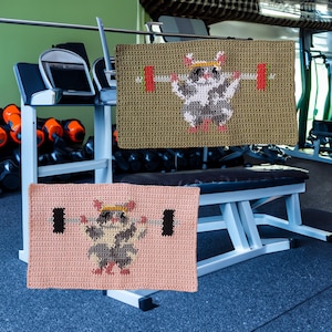 Gym Rat (Squat) Crochet Tapestry Pattern PDF