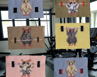 Gym Rat COMBO Crochet Tapestry Pattern PDF