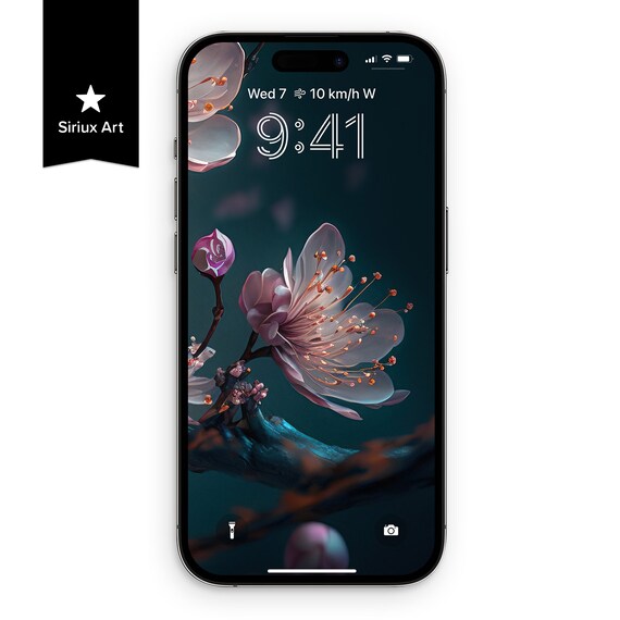 Cherry Blossom Flowers iPhone 4K Wallpaper Sakura Dark Floral
