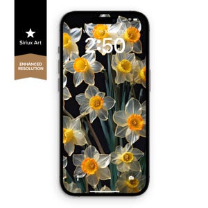 Sfondo per telefono con fiori di narcisi estivi / Bellissimo sfondo floreale / Bella arte floreale traslucida / Estetica allegra e luminosa con un tocco di giallo