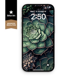 Boho Succulent Plant Phone Wallpaper | Botanical Wallpaper Lock Screen | Green Aesthetic Neutral Background Screen | Boho Earthy Nature Art