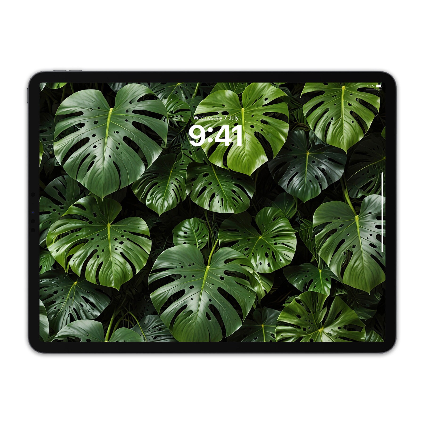 Monstera Leaf iPad Wallpaper: Tropical Green Foliage (digital Download) -  Etsy