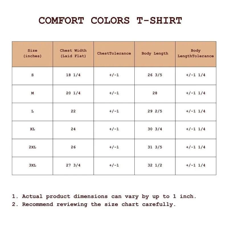Disney Comfort Colors Shirt 2-Sided, Toy Story To Infinity & Beyond Wash Tee, Buzz Lightyear Woody Distressed Shirt, Disney Trip Outfit