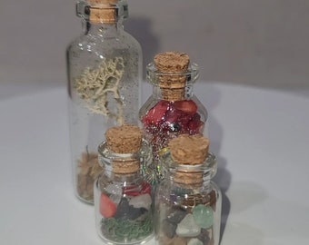 Tiny Terrariums Rainbow Varieties