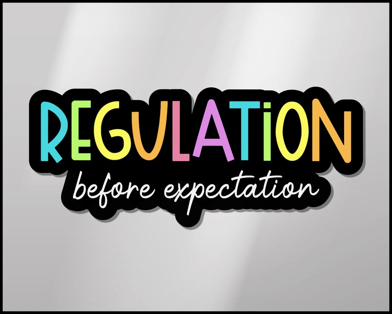 Regulation Before Expectation Vinyl Sticker Special Education Etsy