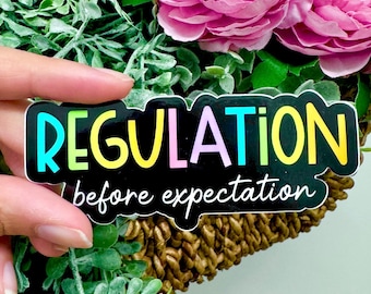 Regulation Before Expectation Vinyl Sticker Special Education Teacher
