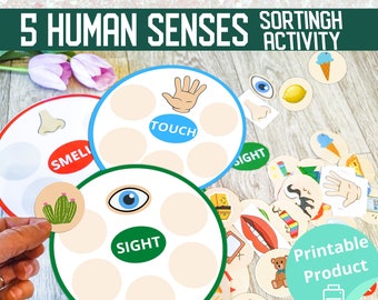 Five senses Printable, toddler busy Learn , Sorting activity for toddler and preschool kids, preschool science