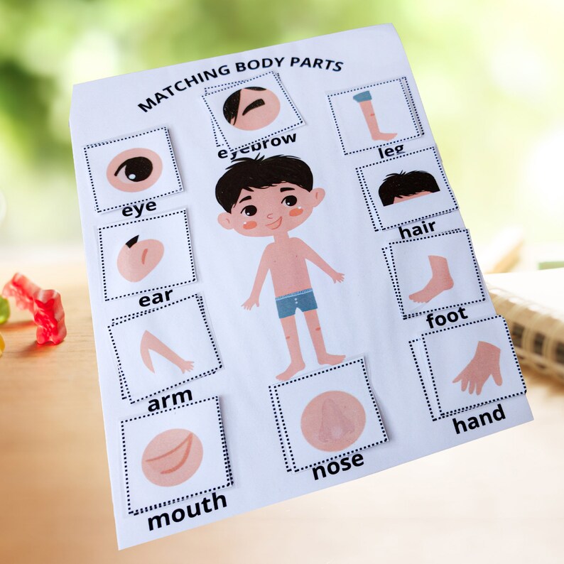 Body Parts Printable Human Body Activity Montessori Body Etsy