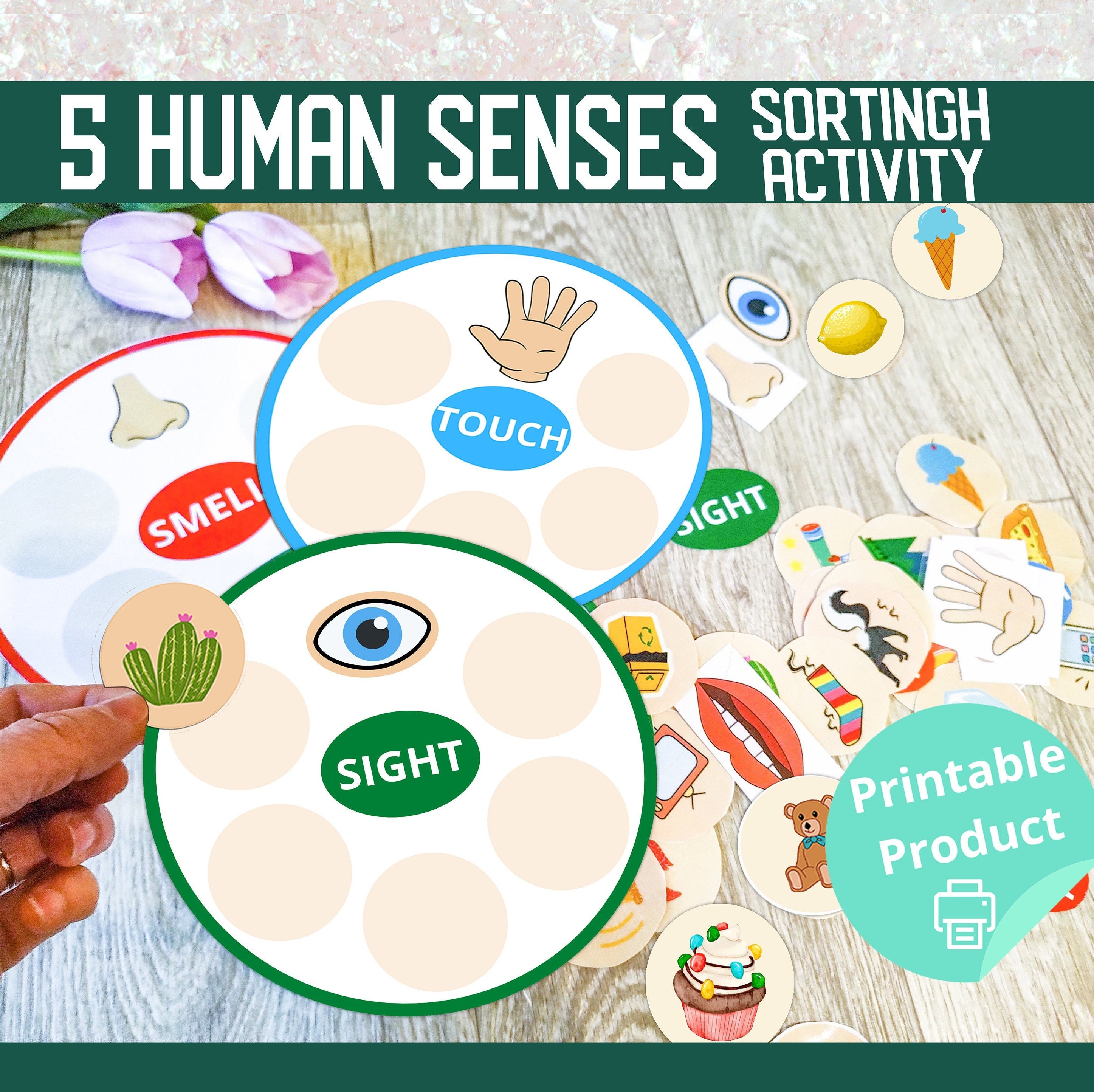 Five Senses Printable, Toddler Busy Learn , Sorting Activity for ...