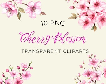 Watercolor Cherry Blossom Clipart Spring Sakura PNG Transparent Background Instant Download