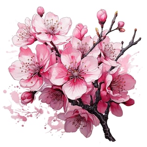 Watercolor Cherry Blossom Clipart, Cherry Flower, Sakura Clipart, Spring Floral Clipart, Floral Branches, Watercolor Pink Floral Clipart
