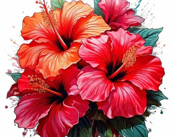 Hibiscus Flower Clipart: Tropical PNG Graphics (Digital Download)