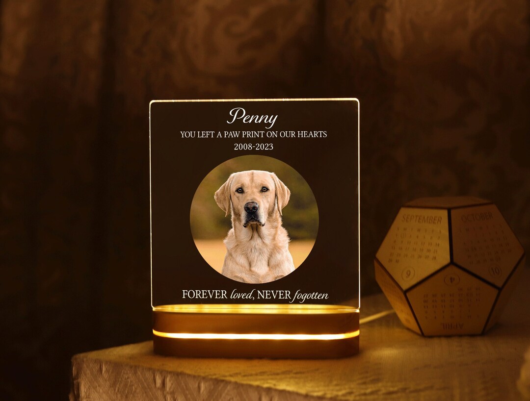 Custom LED Dog Lamp Custom Dog Memorial Night Light Pet Etsy