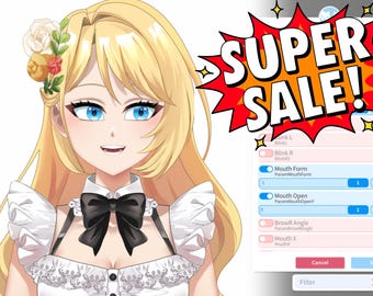 Customizable Live2D VTuber Model | Premade Full Body Rigging