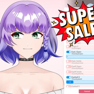Customizable Live2D Vtuber Model | Premade Vtuber Model | Half Body | Ready to Use | Editable & Rigging | Twich Overaly | PNGtuber