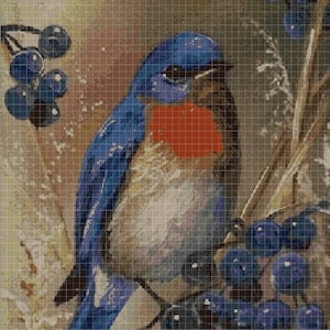 Blue Bird cross stitch pattern in pdf DMC