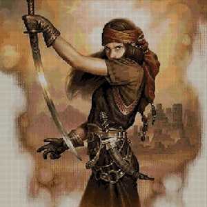 Assassin du désert voyou grille point de croix en pdf DMC