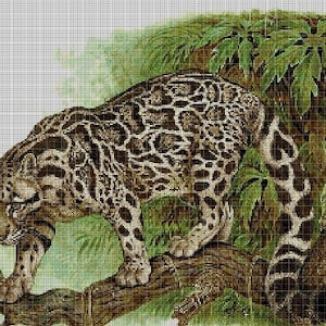 Op de afbeelding: Een nevelpanter met bruine en zwarte vlekken zit op een tak in een weelderige groene jungle.