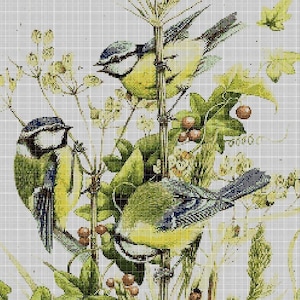 Birds cross stitch pattern in pdf DMC
