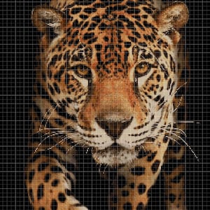 Puede incluir: Un primer plano de la cara de un jaguar, con sus manchas y rayas claramente visibles. El jaguar está mirando directamente a la cámara, con la boca cerrada y los ojos abiertos. El fondo es una cuadrícula oscura y borrosa.