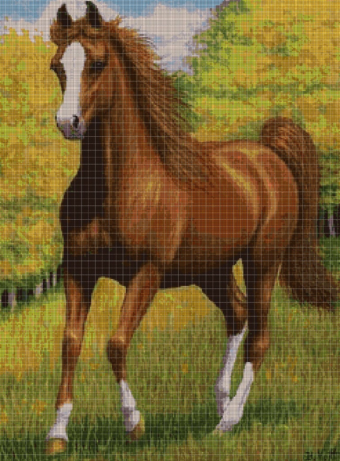 Horse Cross Stitch Pattern in Pdf DMC - Etsy