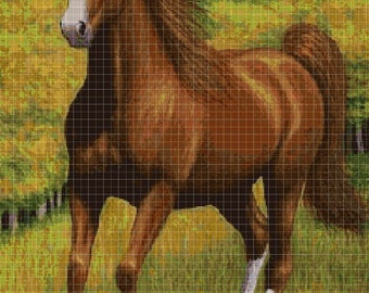 Horse cross stitch pattern in pdf DMC