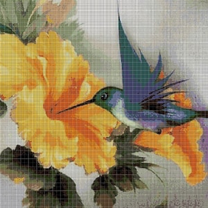 Humminbird with yellow flower cross stitch pattern in pdf DMC