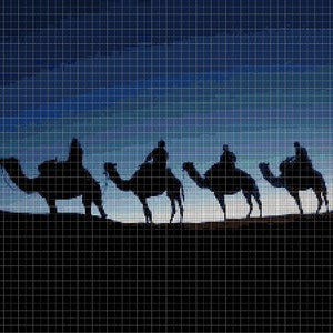 May include: Silhouettes of four camels with riders travelling across a desert landscape under a starry night sky.
