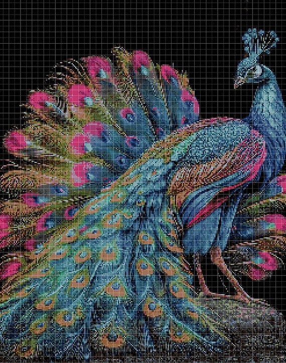 Pecock 2 Cross Stitch Pattern in Pdf DMC 