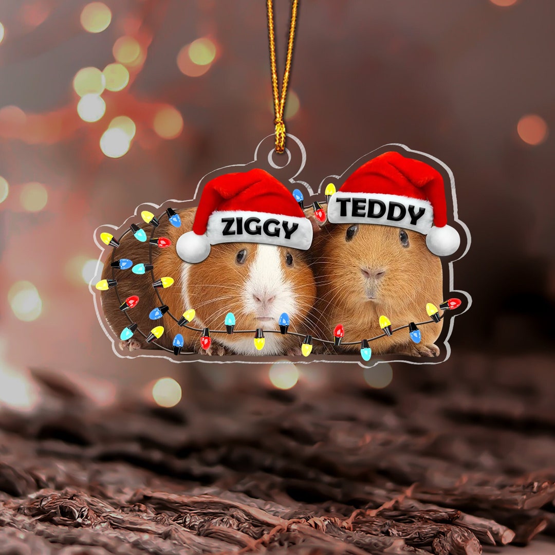 Custom Guinea Pig Ornament, Personalized Christmas Ornament, Holiday Acrylic Ornament,xmas