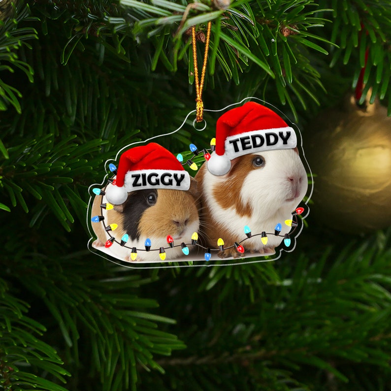Custom Guinea Pig Ornament, Personalized Christmas Ornament, Holiday Acrylic Ornament,x Mas