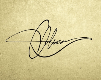 Custom Minimalist Signature, Custom Designed Signature Design, custom signature, handmade signature logo for your business