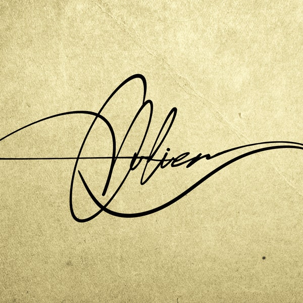 Custom Minimalist Signature, Custom Designed Signature Design, custom signature, handmade signature logo for your business